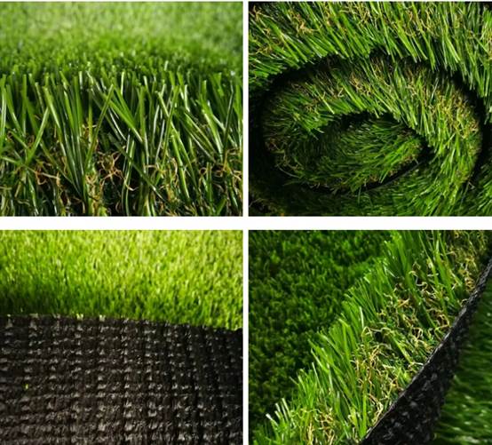 image008.jpg image008.jpg